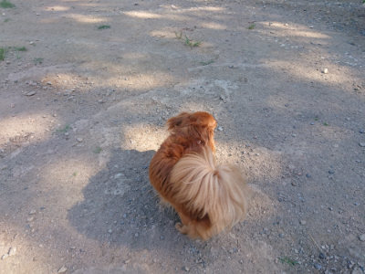 f:id:roukenhome-ann:20190811204147j:plain