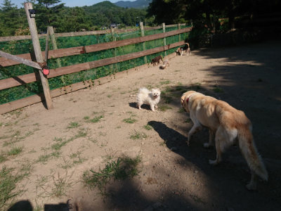 f:id:roukenhome-ann:20190811204210j:plain