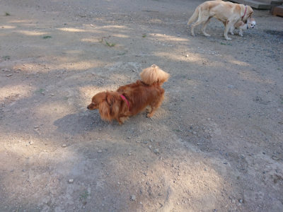 f:id:roukenhome-ann:20190811204226j:plain
