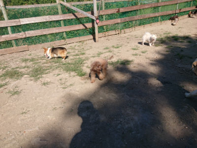 f:id:roukenhome-ann:20190811204244j:plain