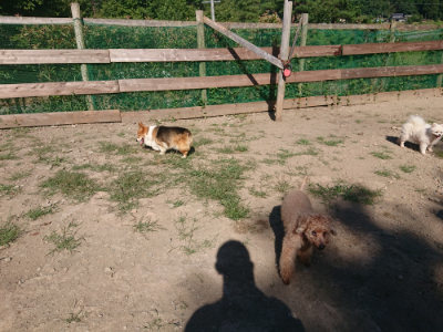 f:id:roukenhome-ann:20190811204251j:plain