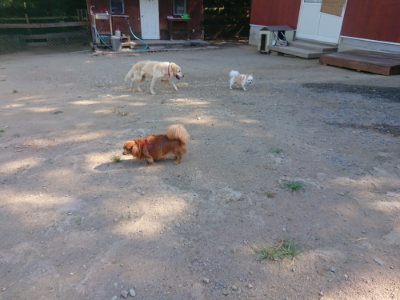 f:id:roukenhome-ann:20190811204256j:plain