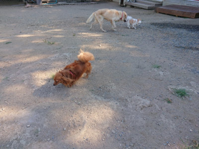 f:id:roukenhome-ann:20190811204302j:plain