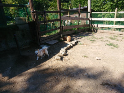 f:id:roukenhome-ann:20190811204308j:plain