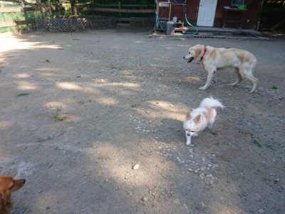 f:id:roukenhome-ann:20190811204320j:plain