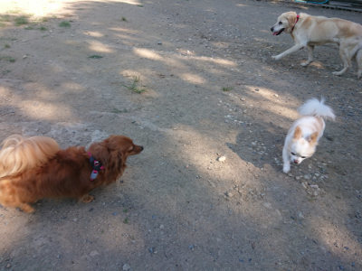 f:id:roukenhome-ann:20190811204329j:plain
