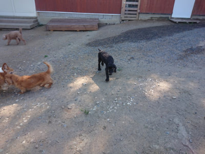f:id:roukenhome-ann:20190811204357j:plain