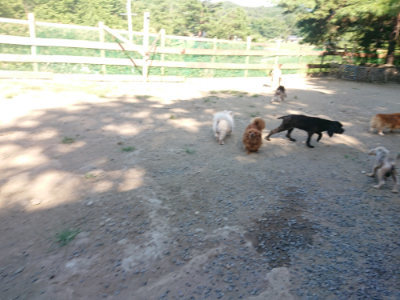 f:id:roukenhome-ann:20190811210243j:plain