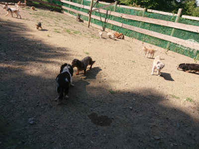 f:id:roukenhome-ann:20190811210333j:plain