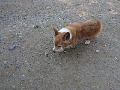 f:id:roukenhome-ann:20190811210350j:plain