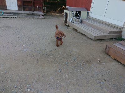 f:id:roukenhome-ann:20190811210424j:plain