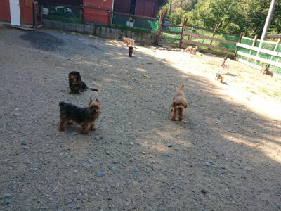 f:id:roukenhome-ann:20190811210440j:plain