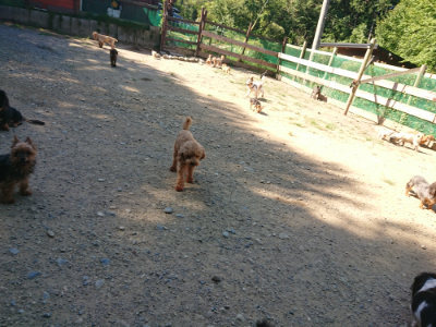f:id:roukenhome-ann:20190811210452j:plain