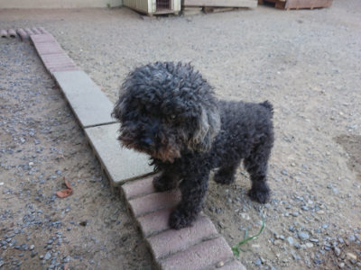 f:id:roukenhome-ann:20190811210524j:plain