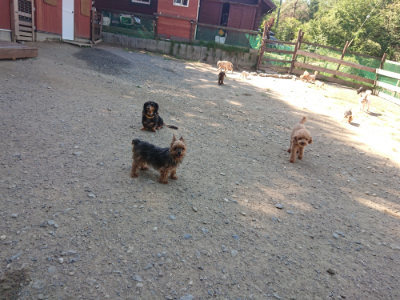 f:id:roukenhome-ann:20190811210530j:plain