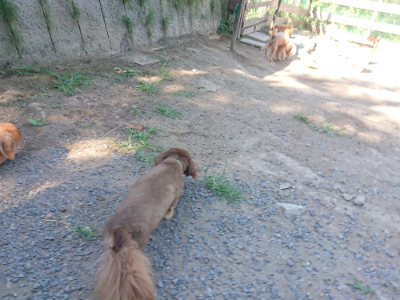 f:id:roukenhome-ann:20190811210536j:plain
