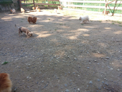 f:id:roukenhome-ann:20190811210543j:plain