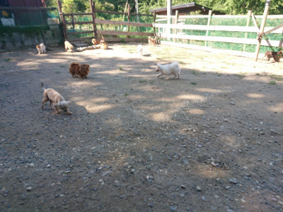 f:id:roukenhome-ann:20190811210552j:plain