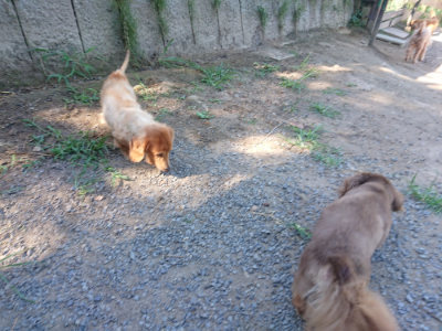 f:id:roukenhome-ann:20190811210618j:plain