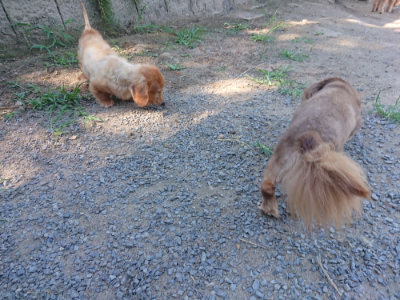 f:id:roukenhome-ann:20190811210625j:plain