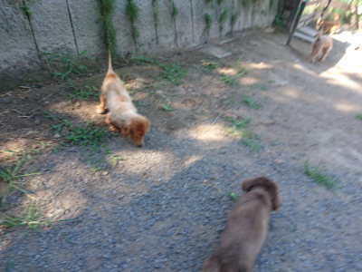 f:id:roukenhome-ann:20190811210646j:plain