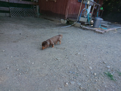 f:id:roukenhome-ann:20190811210701j:plain