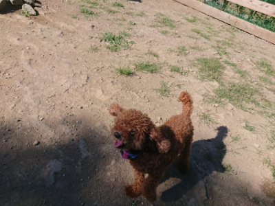 f:id:roukenhome-ann:20190811210731j:plain