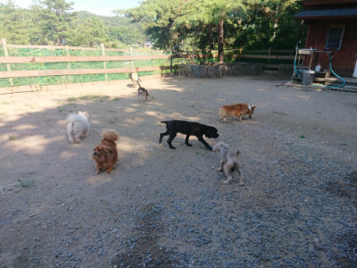 f:id:roukenhome-ann:20190811210809j:plain