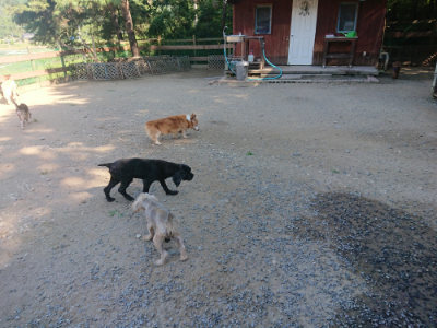 f:id:roukenhome-ann:20190811210817j:plain