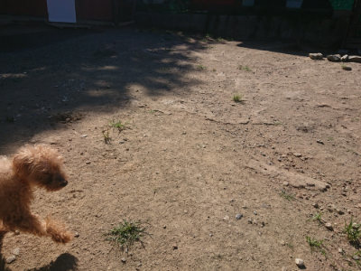 f:id:roukenhome-ann:20190811211104j:plain