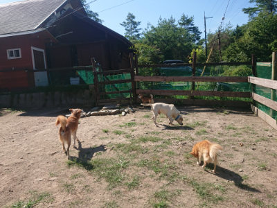 f:id:roukenhome-ann:20190811211116j:plain