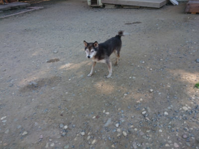 f:id:roukenhome-ann:20190811211145j:plain