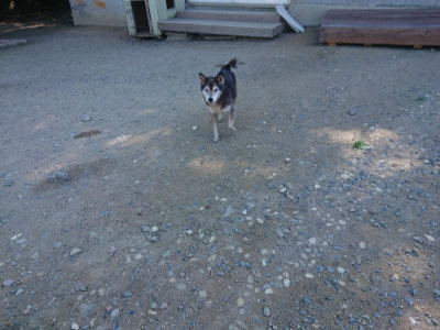 f:id:roukenhome-ann:20190811211241j:plain