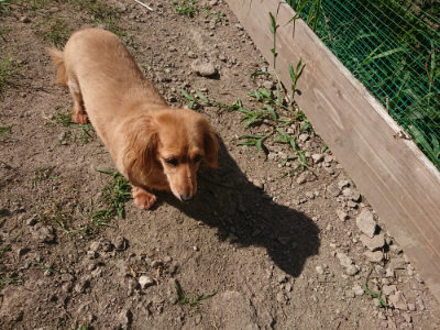 f:id:roukenhome-ann:20190811211301j:plain