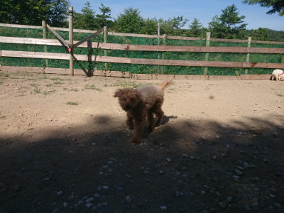 f:id:roukenhome-ann:20190811211448j:plain