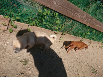 f:id:roukenhome-ann:20190811211543j:plain