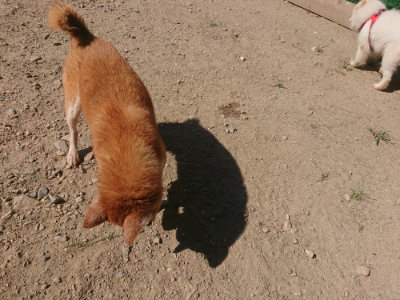 f:id:roukenhome-ann:20190811211552j:plain