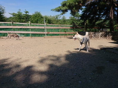 f:id:roukenhome-ann:20190811211849j:plain