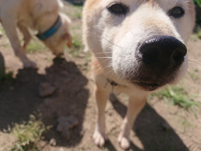 f:id:roukenhome-ann:20190811211943j:plain