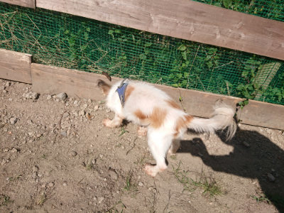 f:id:roukenhome-ann:20190811211957j:plain