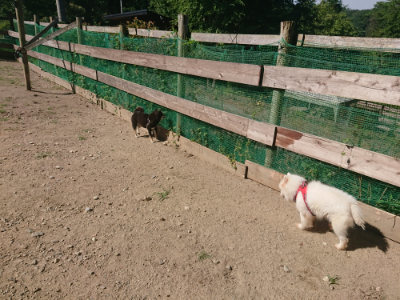 f:id:roukenhome-ann:20190811212119j:plain