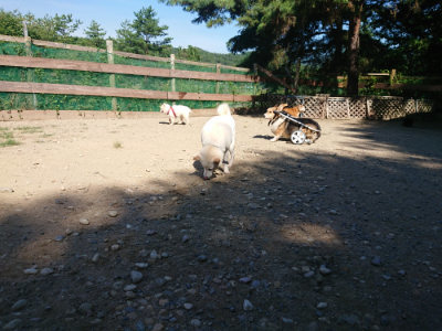 f:id:roukenhome-ann:20190811212127j:plain