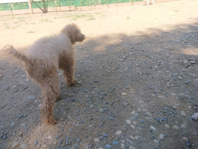 f:id:roukenhome-ann:20190811212311j:plain