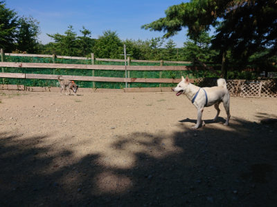 f:id:roukenhome-ann:20190811212318j:plain