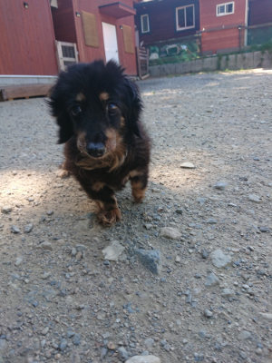 f:id:roukenhome-ann:20190811212425j:plain