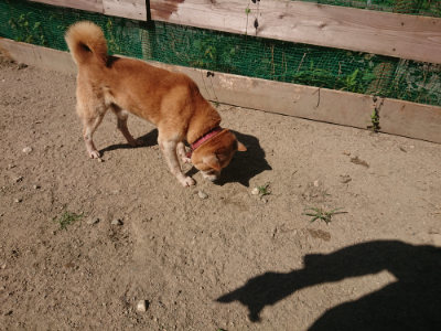 f:id:roukenhome-ann:20190811212445j:plain