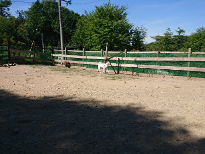 f:id:roukenhome-ann:20190811212537j:plain
