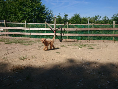 f:id:roukenhome-ann:20190811212621j:plain