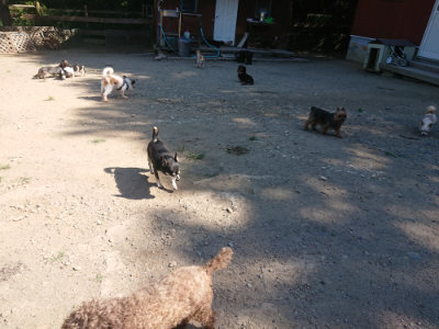 f:id:roukenhome-ann:20190811212647j:plain