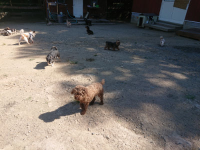 f:id:roukenhome-ann:20190811212758j:plain
